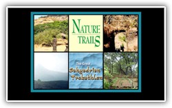 nature-trails1