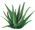 logo_ayur